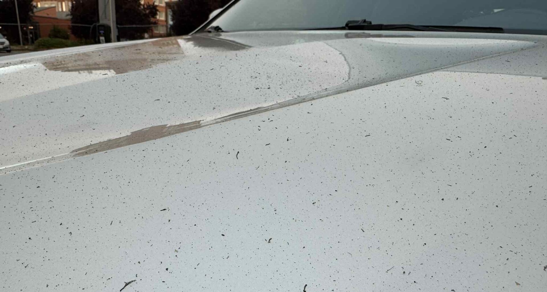 Ash seen over Greater Victoria not from Mount St. Helens: USGS