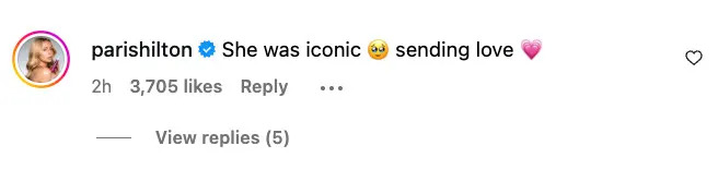 Paris Hilton's Instagram comment: 