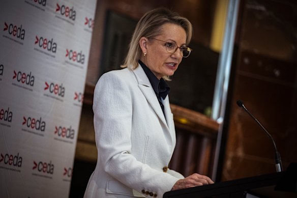 Opposition Leader Sussan Ley described the pharma tariffs as a “shocking but unsurprising development”. There are bound to be more shocks to come.