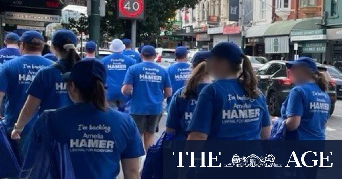 Liberal campaigners feared Brethren influence in 2025 election