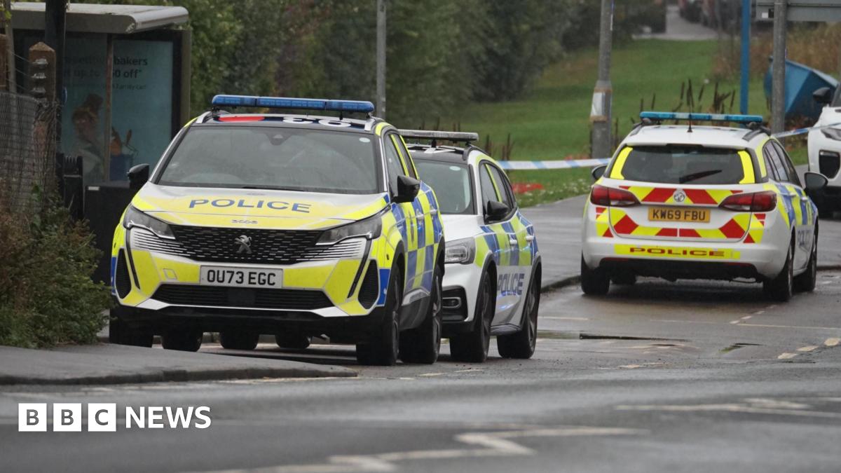 Music Uncovered: David Bowie: Changeling