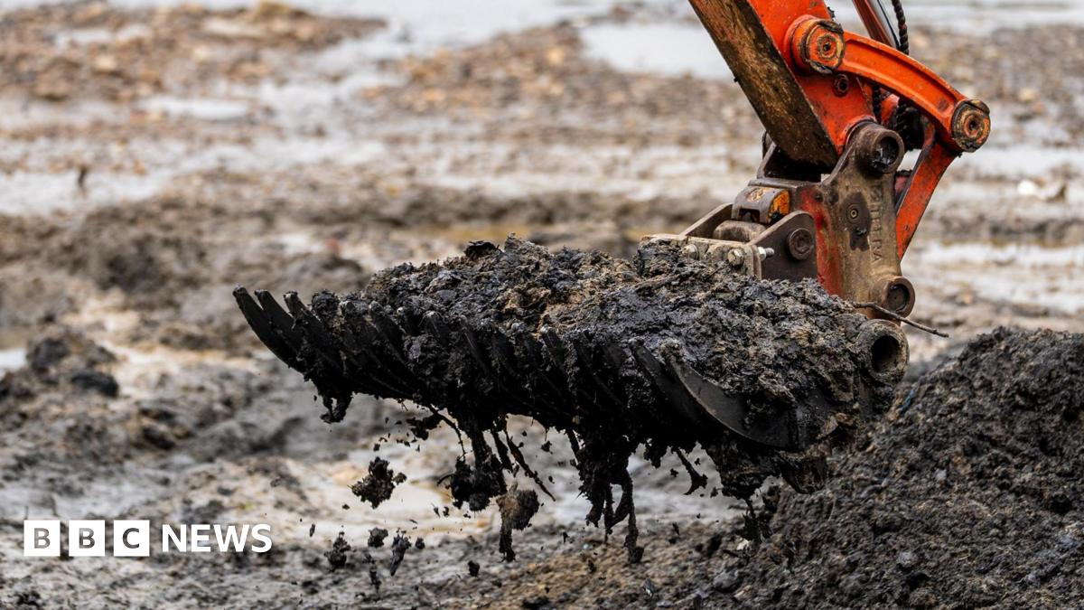 Music Uncovered: David Bowie: Changeling