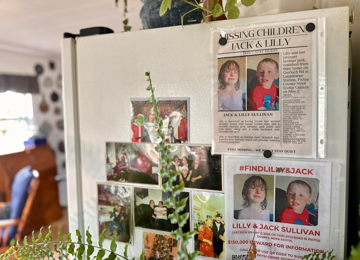 The side of a fridge with two missing children posters and family photos.