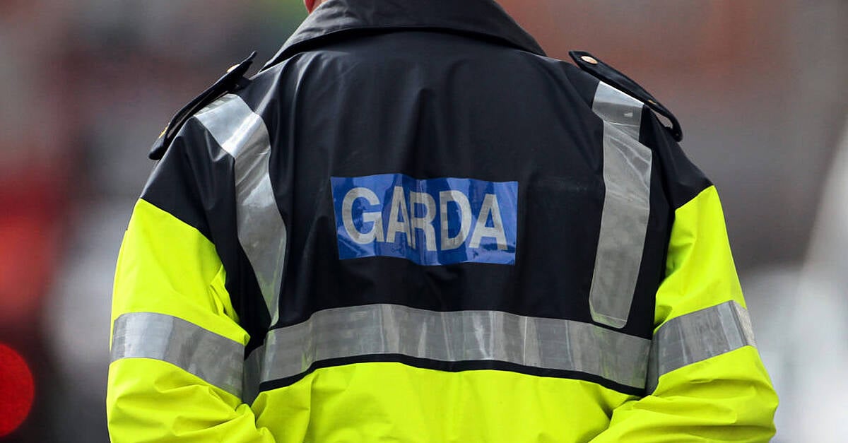 Bodies of young girl and man found by gardaí in Dublin