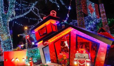 As Stanley Park hosts Harry Potter for the holidays, charity Bright Nights seeks new home - BC