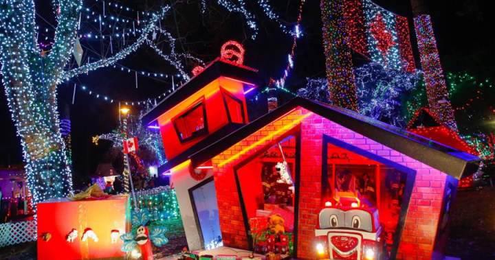 As Stanley Park hosts Harry Potter for the holidays, charity Bright Nights seeks new home - BC