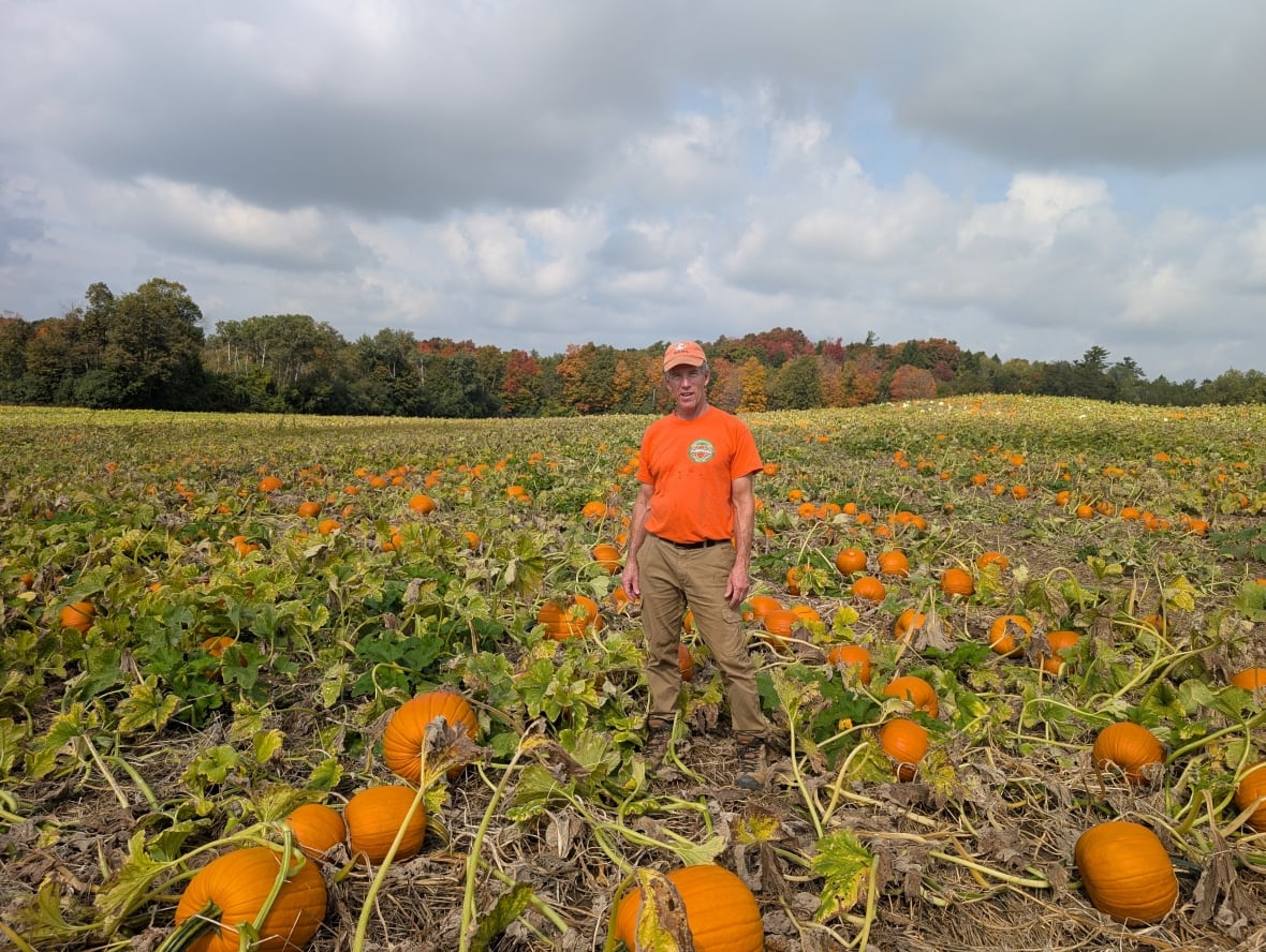 Photo of a man in a pumpkin patch