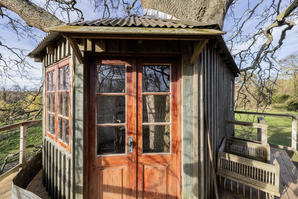 The entrance to the treehouse