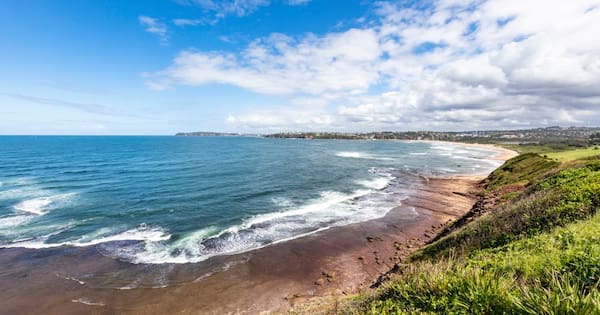 Man dies in shark attack at Sydney beach