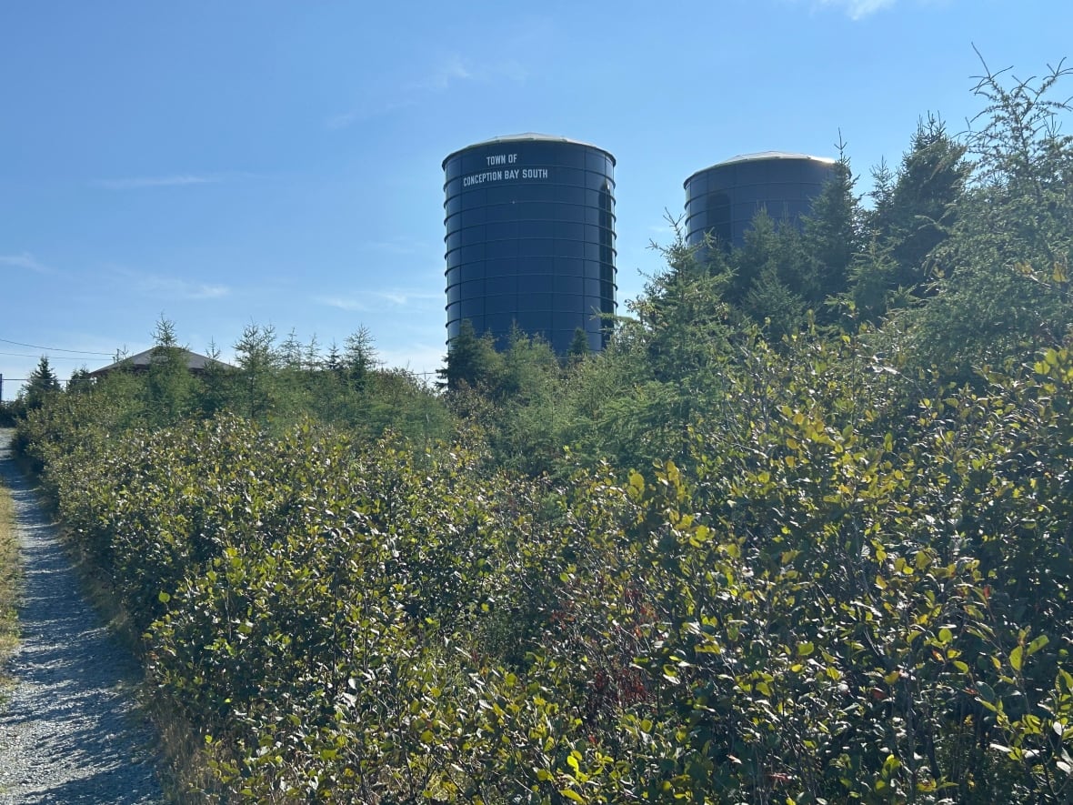 Two large water towers stand in a grassy field.