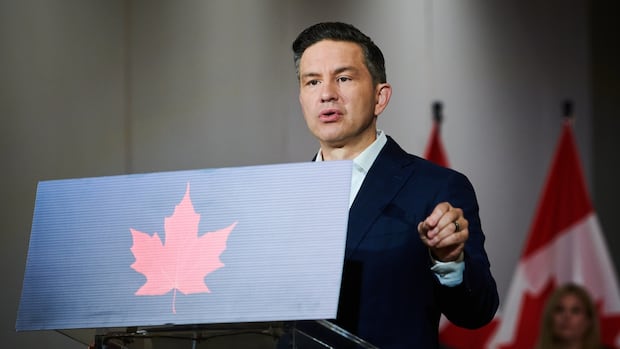 Poilievre 'playing politics' by targeting temporary foreign workers, U of Regina prof says