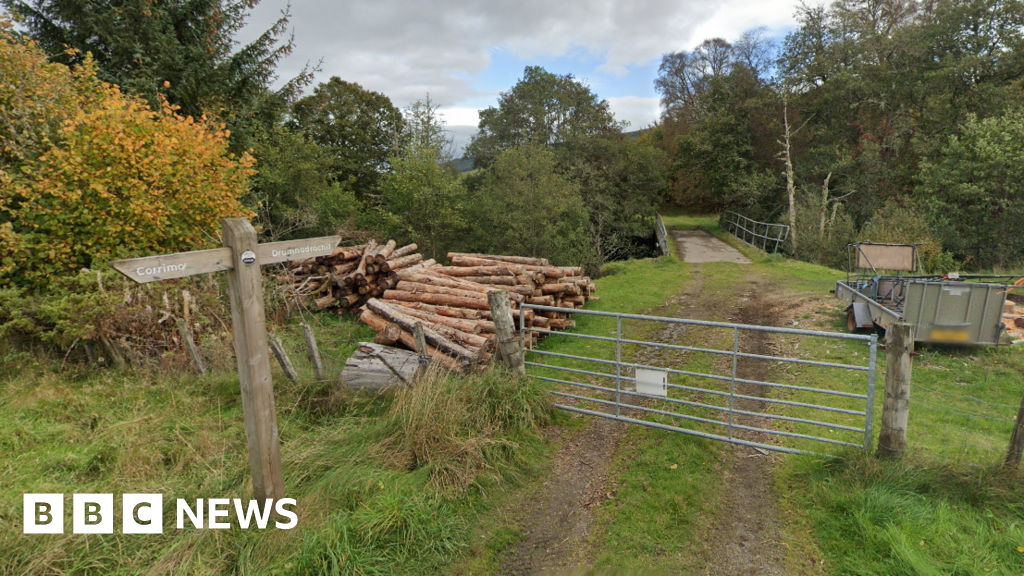 Horse spooked by dogs dies after getting stuck in Highland bog