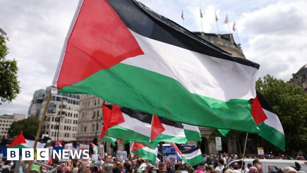 Government can challenge group's appeal against ban