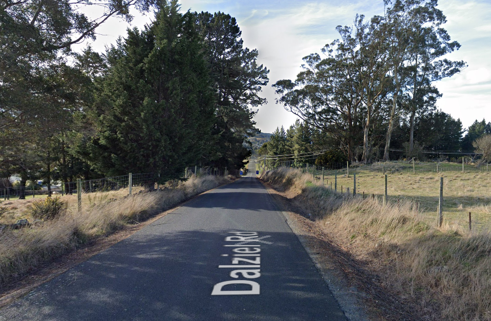 Fleeing Dunedin driver winds up in ditch