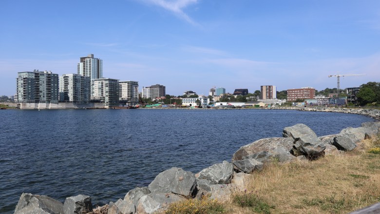 A wall of large rocks along the shoreline of a cove in the city. There are high-rise apartments and other buildings and a construction crane on the other side of the cove.