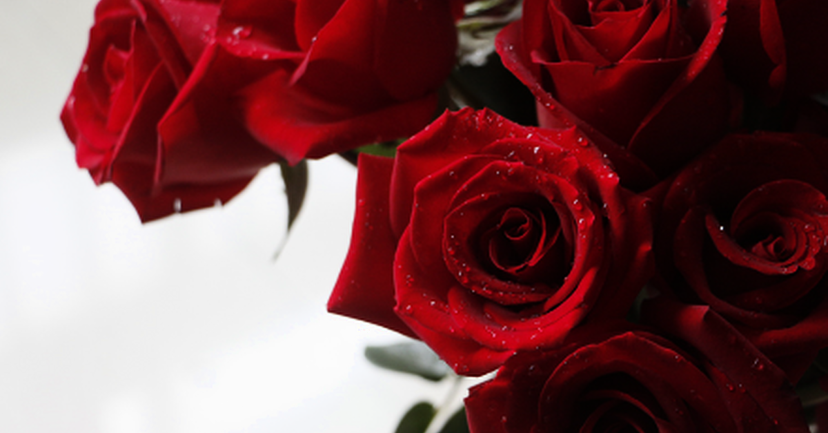 Deep sadness in Roscommon as husband of former councillor Orla Leyden dies