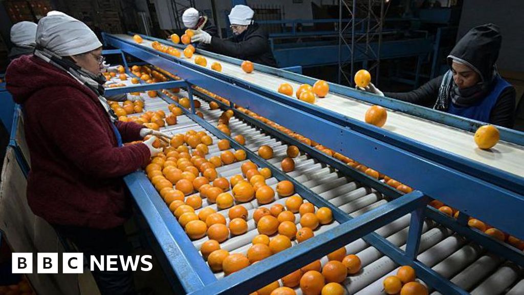 EU to vote on South America trade deal with safeguards for farmers