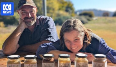 Creamed honey nostalgia helps producers find niche market