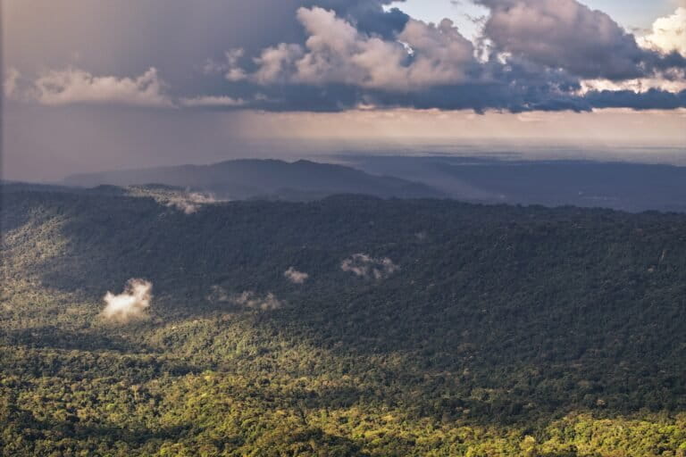 Rainfall over the Western Amazon. Photo credit: Rhett A. Butler / Mongabay