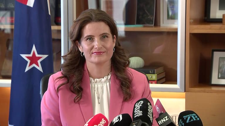 Economic Growth Minister Nicola Willis announces the reforms at Parliament today.