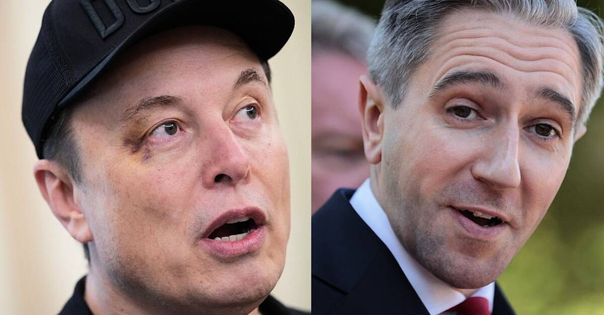 Elon Musk criticises Simon Harris, backs McGregor presidency bid