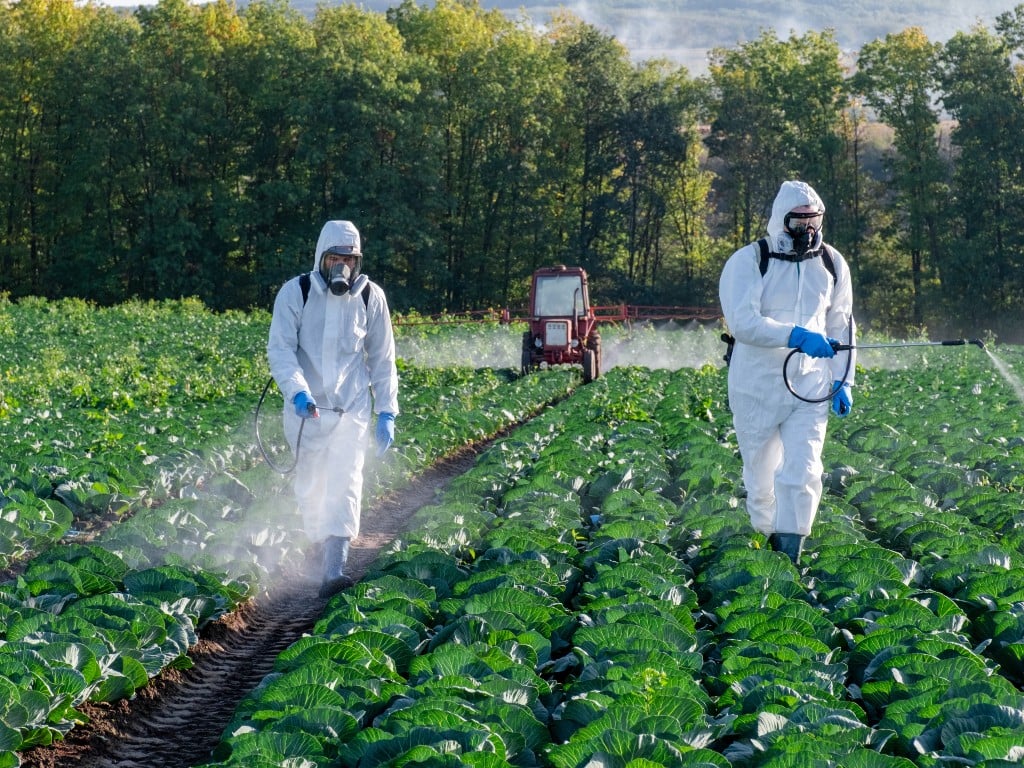 ERM to support EBRD and IFA on development of low-carbon roadmap for the potash and phosphate fertilizer industry