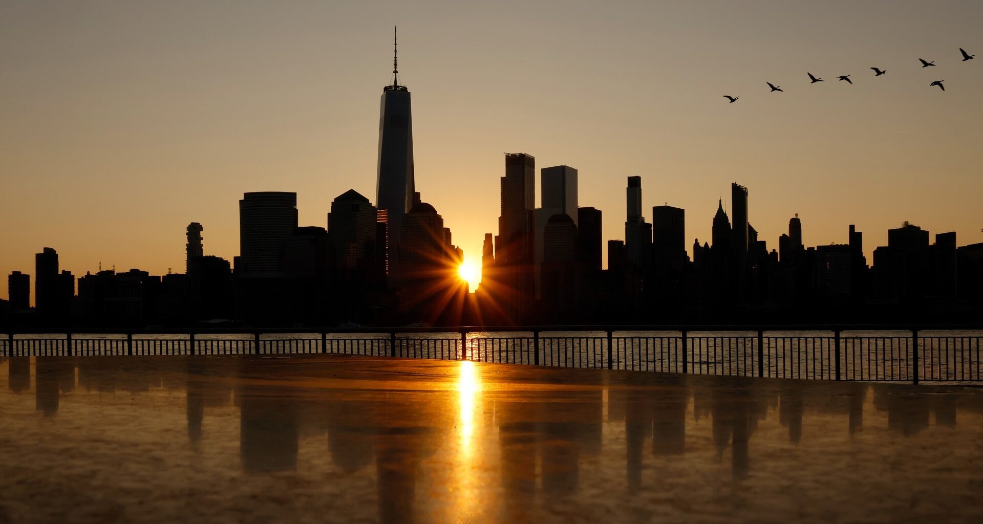 The sun is pictured rising between the skyscrapers of a city skyline. Its light is reflected in a body of water at the bottom of the image, while birds can be seen flying in a