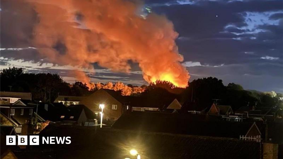 A suburban skyline at night. Flames can be seen shooting up above a line of trees.