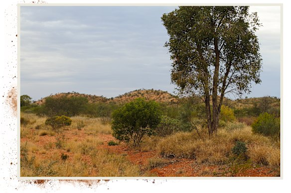 A line of hills south of Yuendumu, at the centre of the land dispute. 