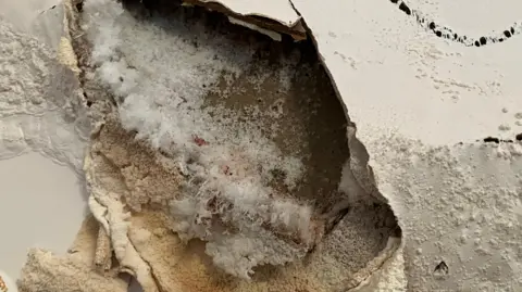 A white wall with peeling plaster and underneath white mould and spongy brown damp patches