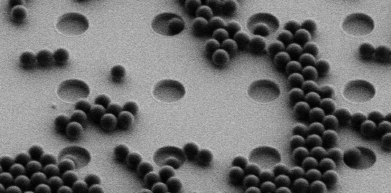 New type of ‘sieve’ detects the smallest pieces of plastic in the environment more easily than ever before