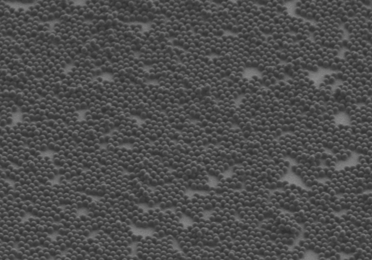 Tiny black balls covering a grey surface.
