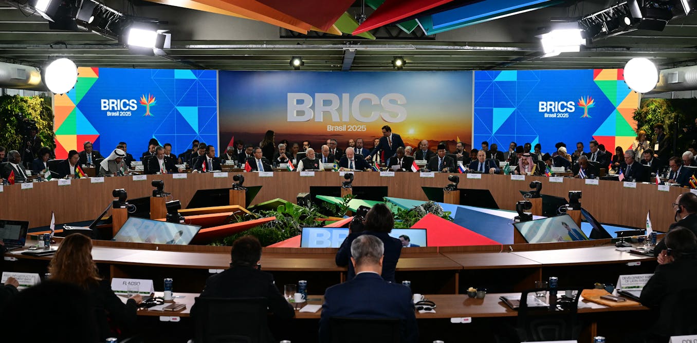 As the world order shifts, NZ should ‘spread its diplomatic wings’ and look at joining BRICS