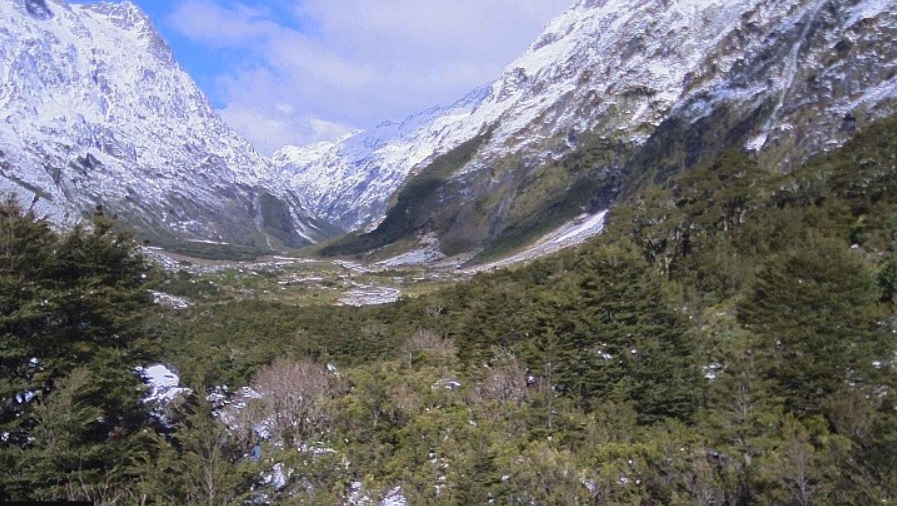Snow-hit Milford Rd set to close until weekend
