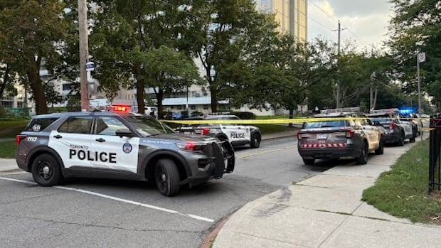 Female dies after being found injured near High Park