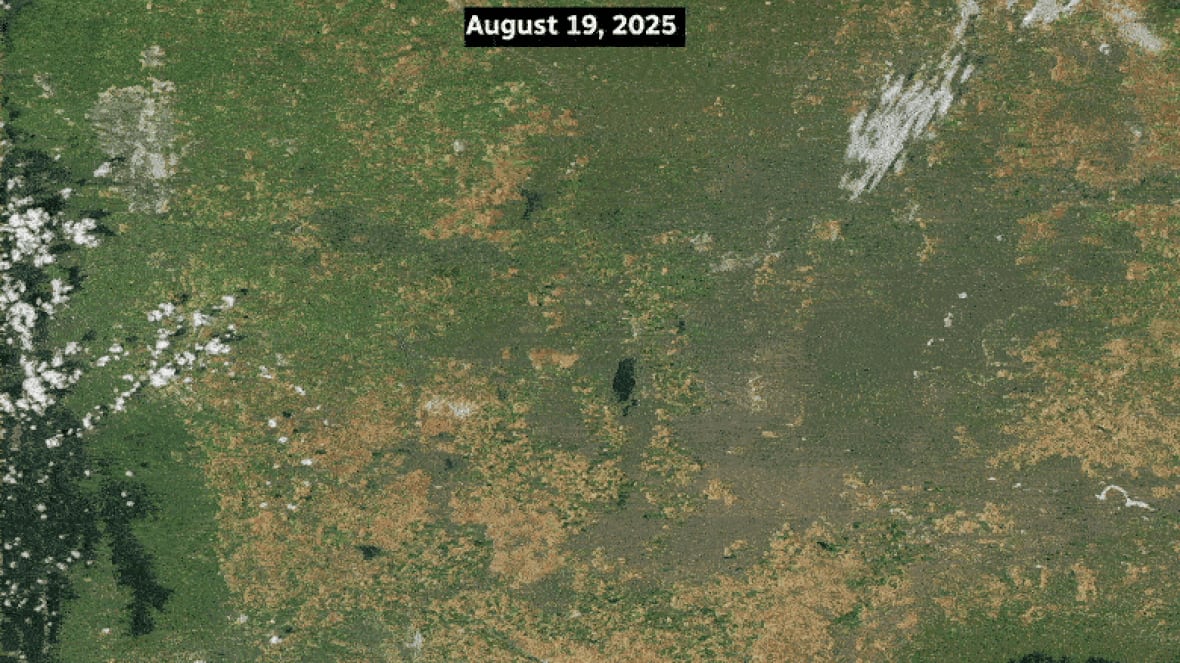 A satellite image of southern Alberta shows a line of damage and soil displacement caused by high wind and hail. 