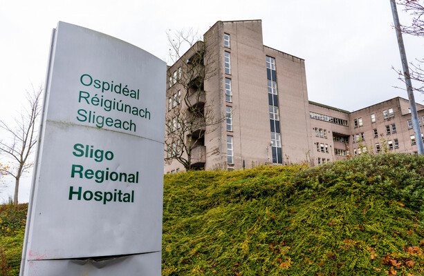 Woman in her 70s dies after being attacked by swarm of bees in Co Mayo - The Journal