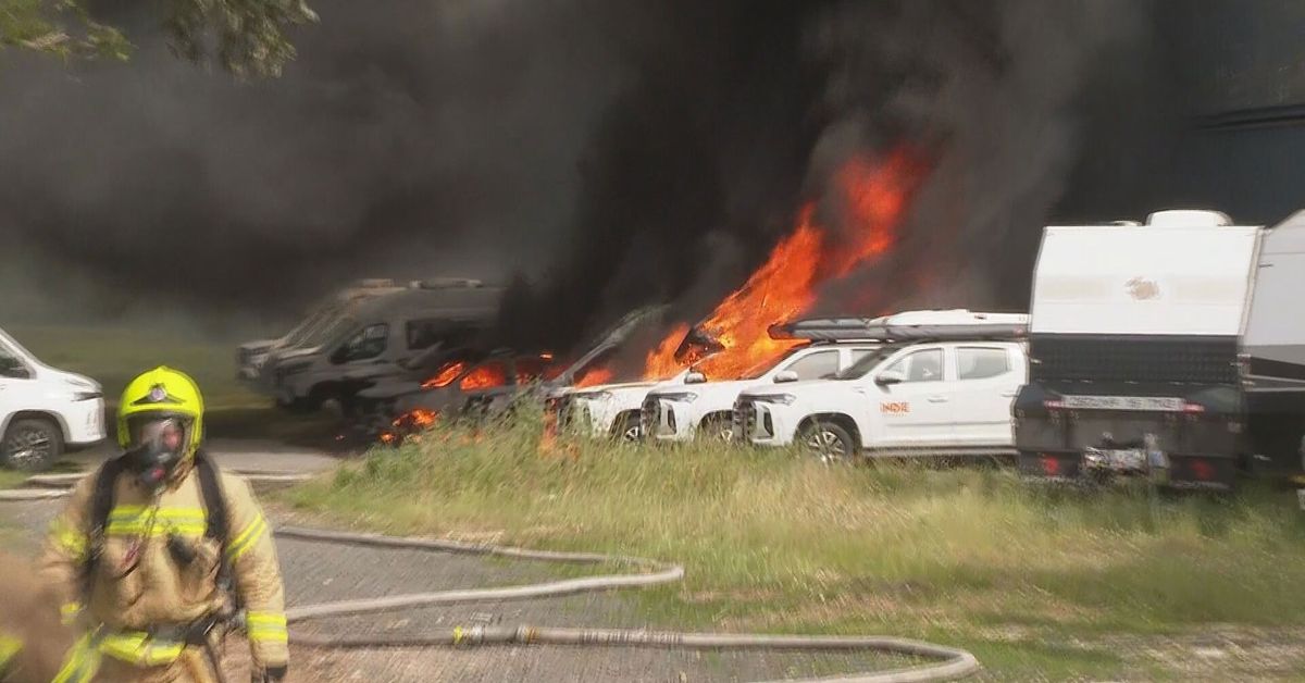 Paper storage facility goes up in flames in Sydney's east