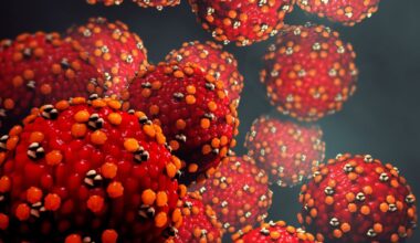 Travellers to Bali urged to get measles vaccination after second case in Cairns confirmed