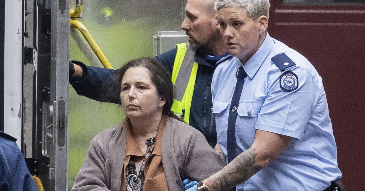 Mushroom killer Erin Patterson's mercy plea as life behind bars looms