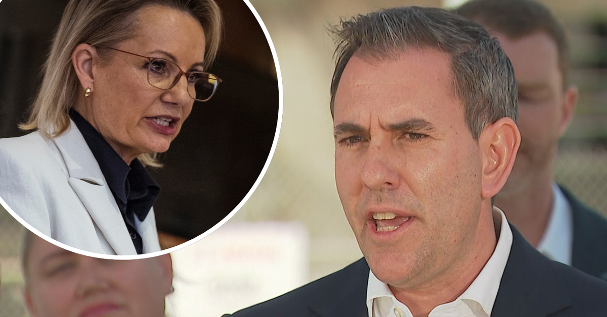 Treasurer Jim Chalmers says opposition is run by 'weird collection' of 'cookers and crackpots'