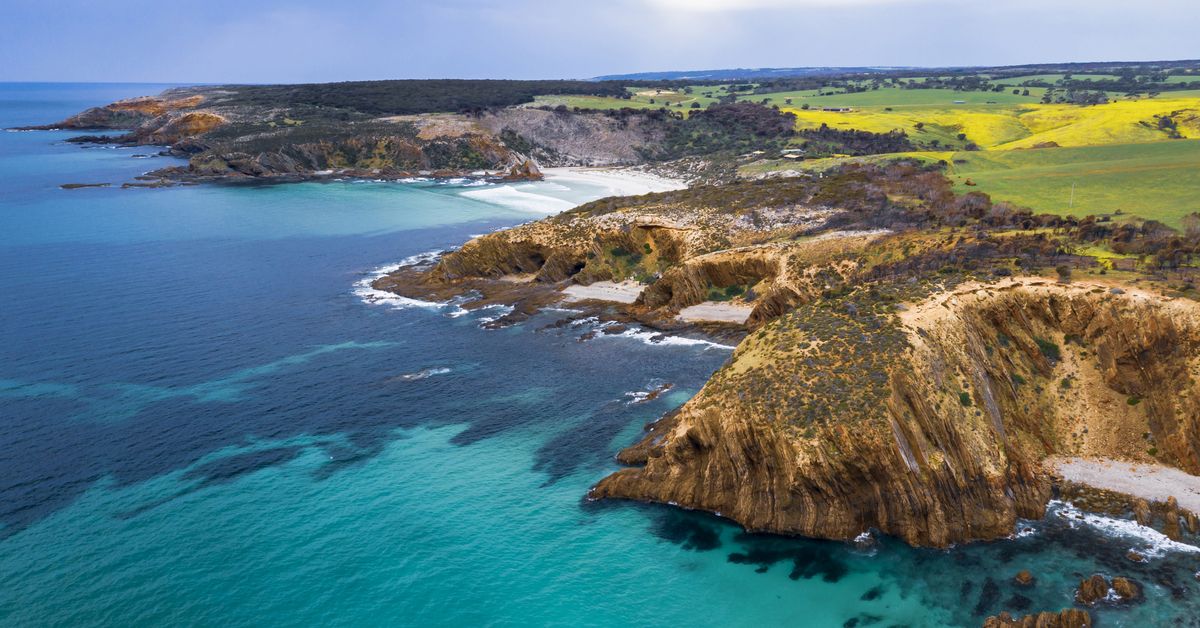 Two men die in horror late-night rollover