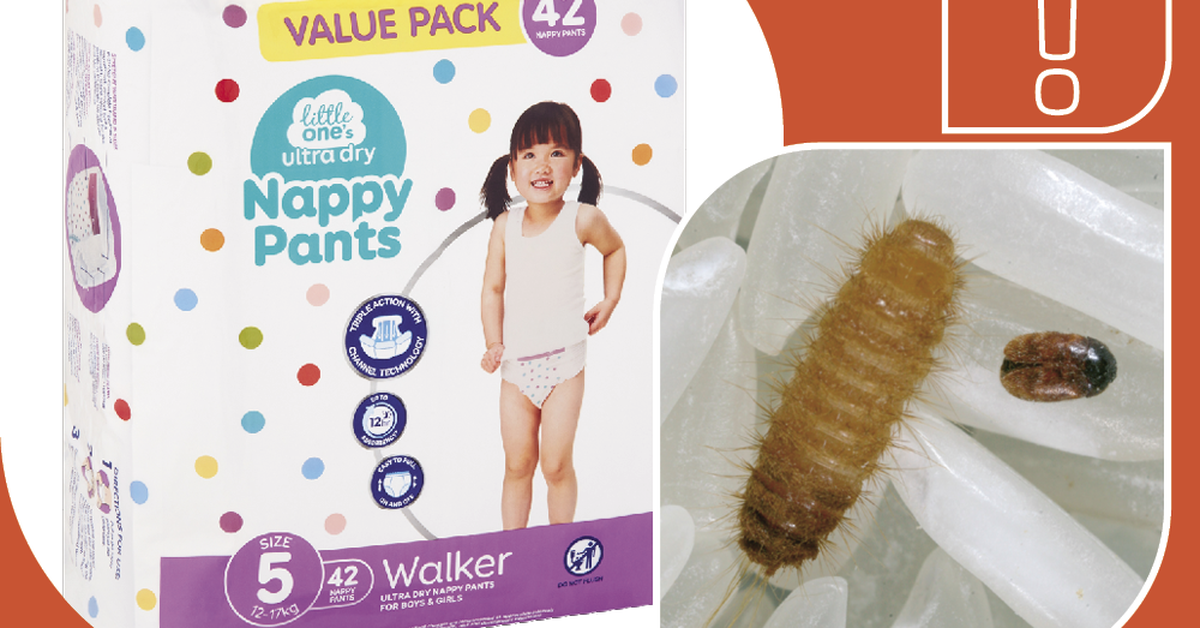 Warning issued after Khapra beetle detected inside brand of popular nappy pants sold at Woolworths