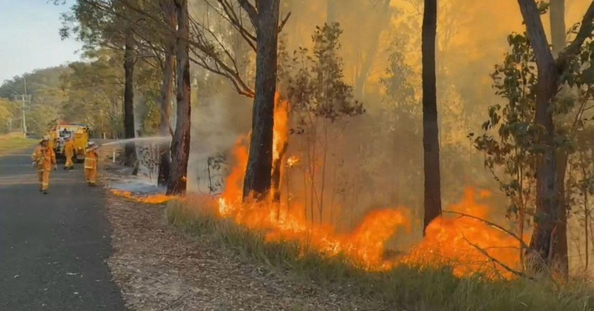 Out-of-control bushfire threatening homes in Gold Coast Hinterland