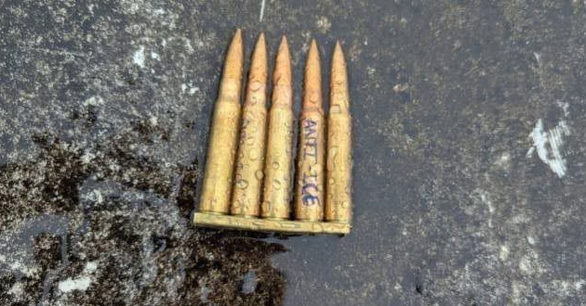 ICE shooter hated government, sought 'terror', US officials say