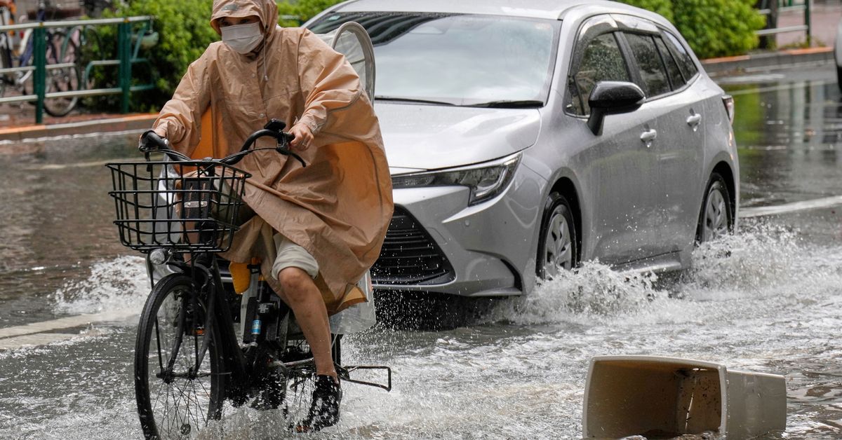 Sudden deluge of rain floods some streets and halts air and rail traffic in Tokyo