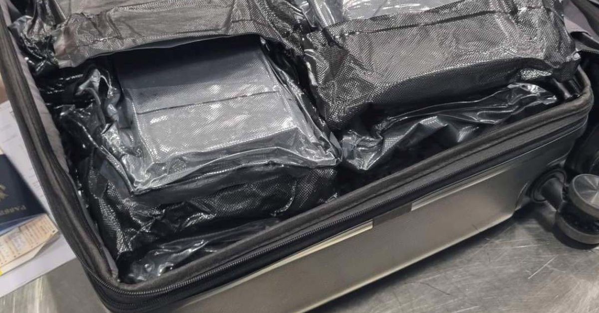 American plane passenger allegedly had 20kg of coke packed in her suitcase