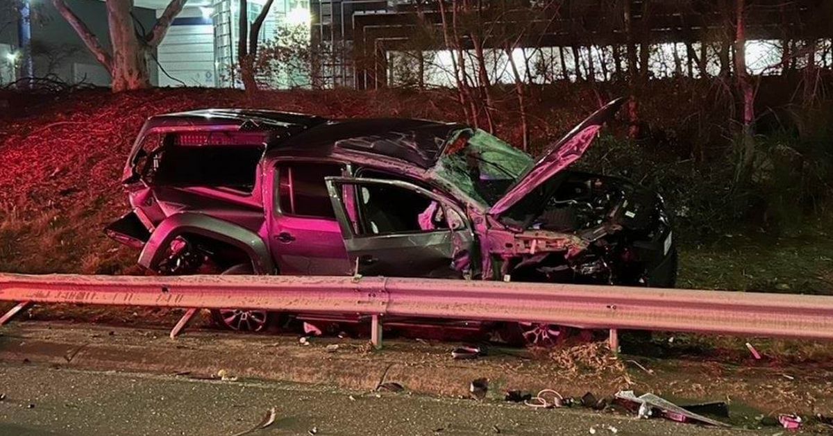 Dog thrown from police car in Melbourne freeway crash