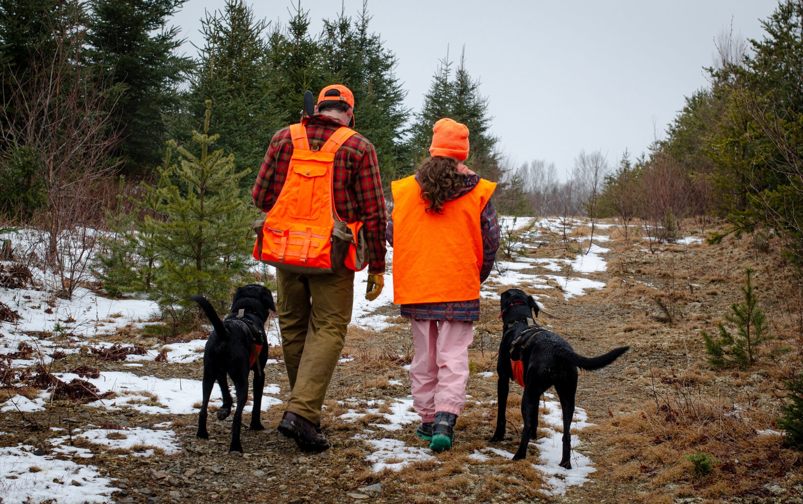 Changes to Hunting Regulations Effective October 1
