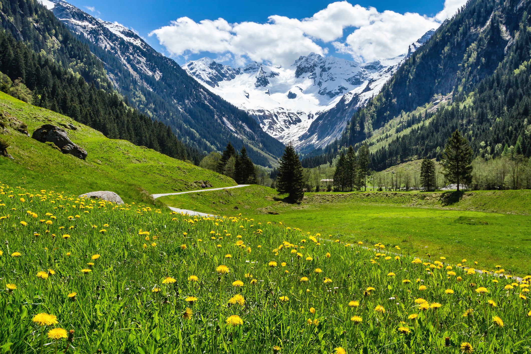 File: Meadows, clear lakes, and mountains draw visitors and locals to the Ramsau am Dachstein area in both summer and winter